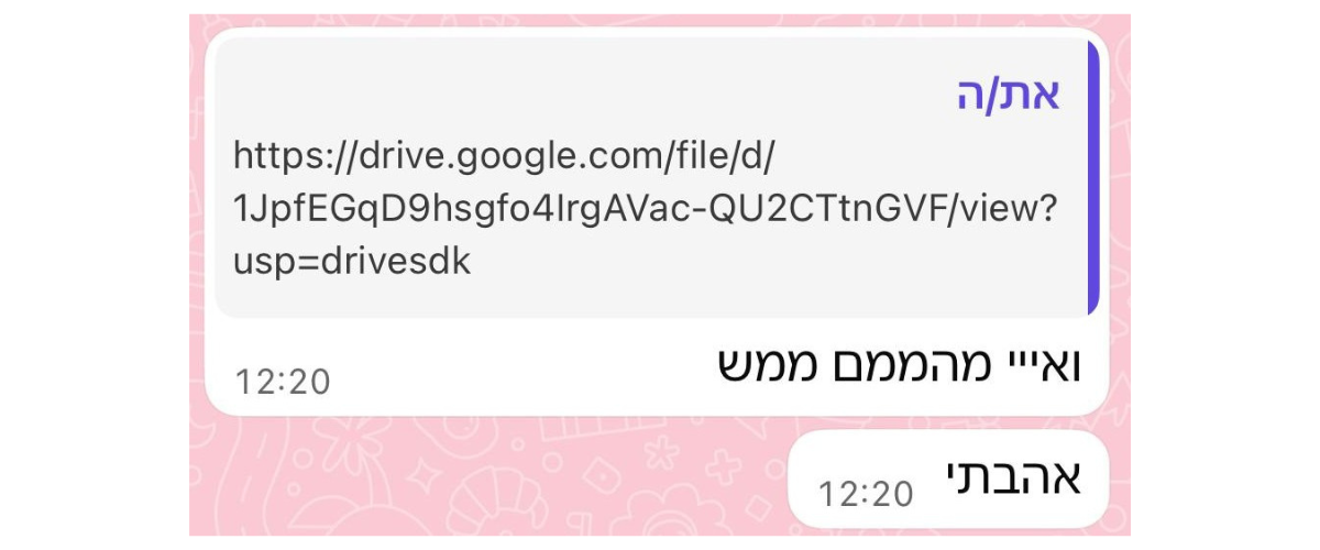 ביקורת לקוח 3